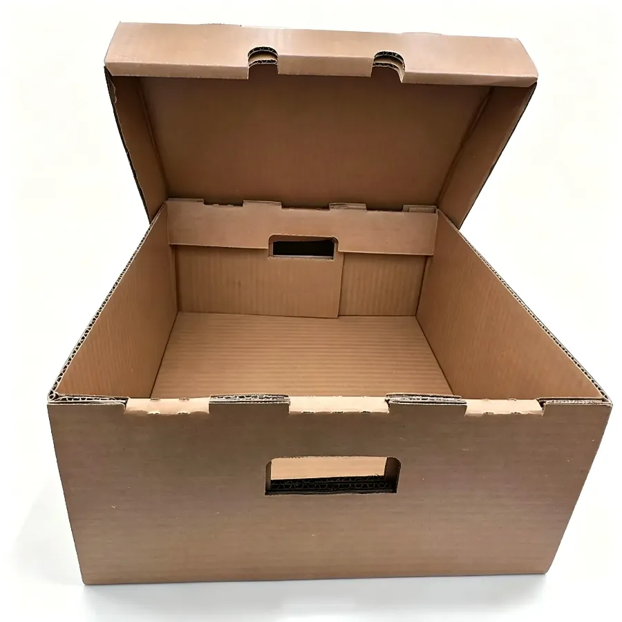 A tendência crescente das caixas de cera na entrega de alimentos na cadeia de frio