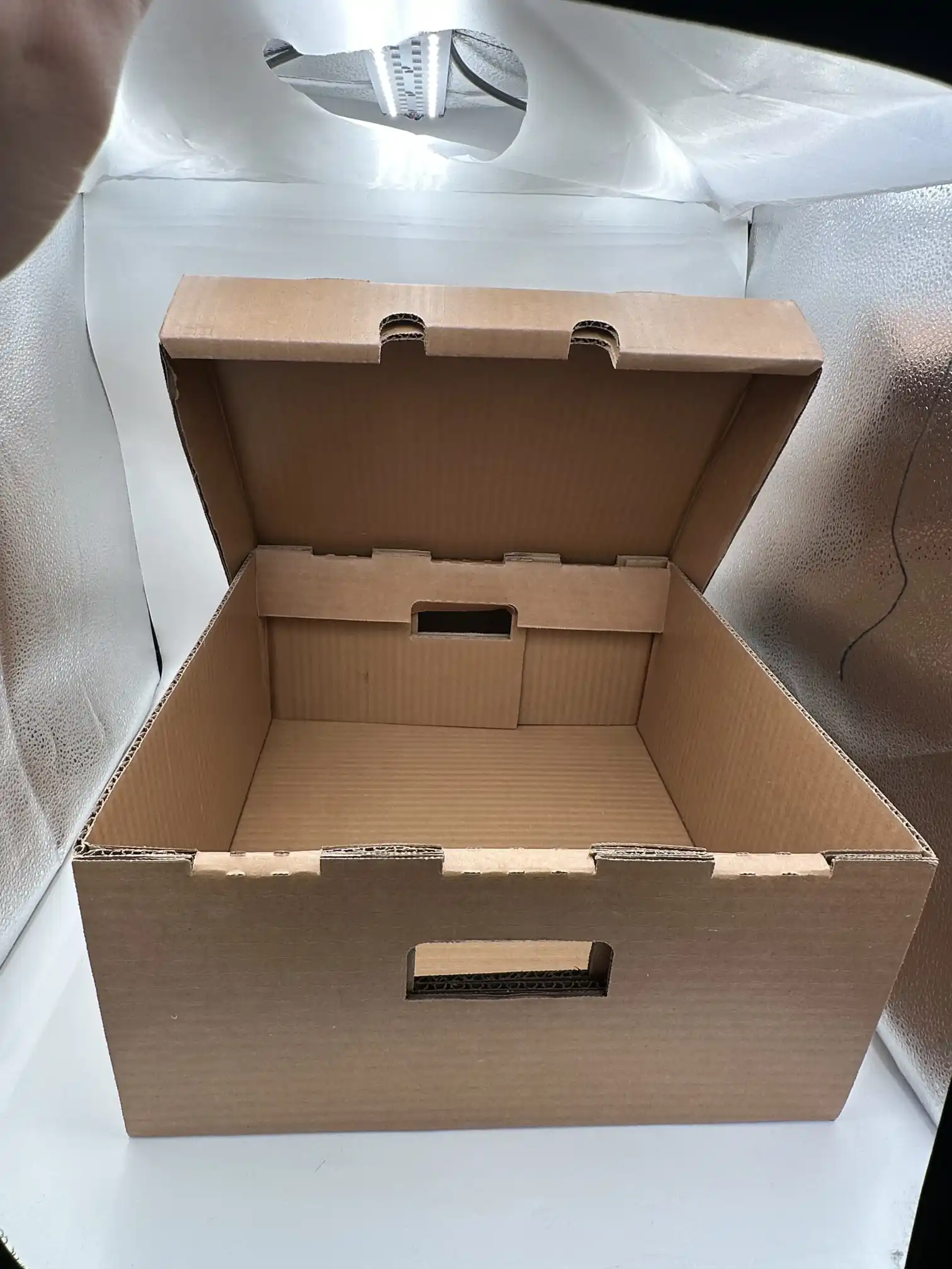 Caixa Ondulada Encerada Grande